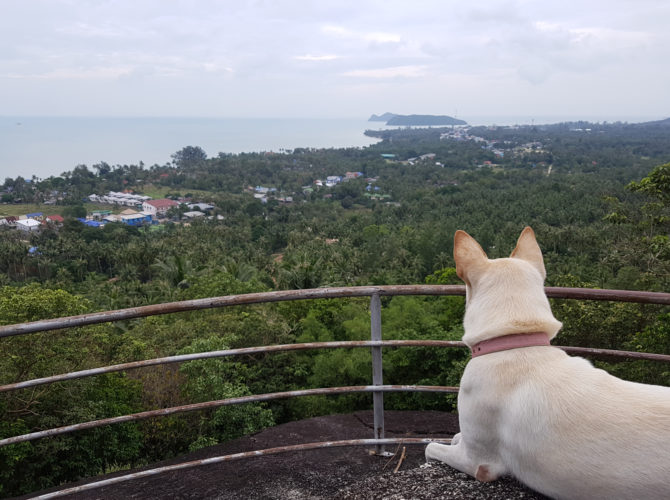 Das erste Mal in Asien – Landlinien